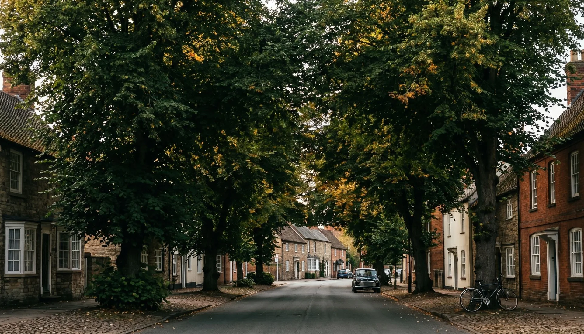 Tree Surgery in Bilton