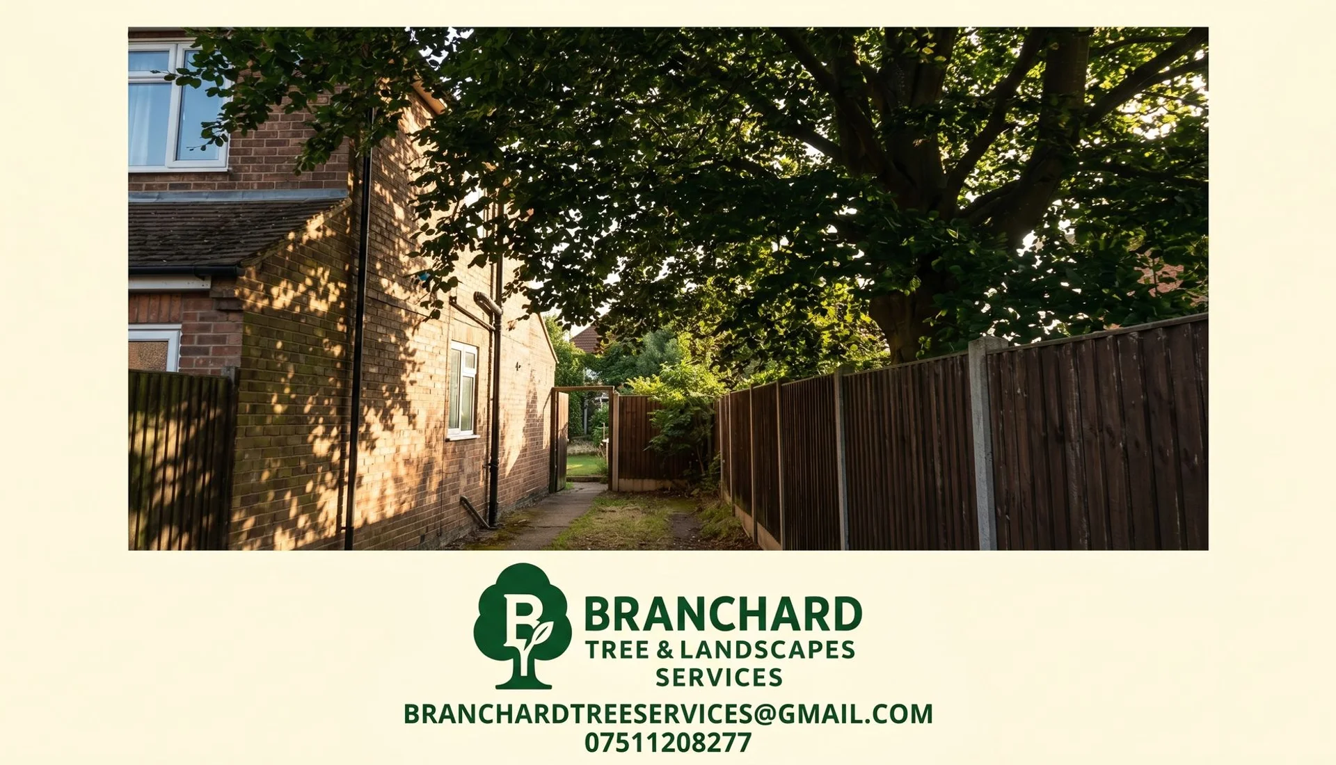 Tree Surgery in Hillmorton