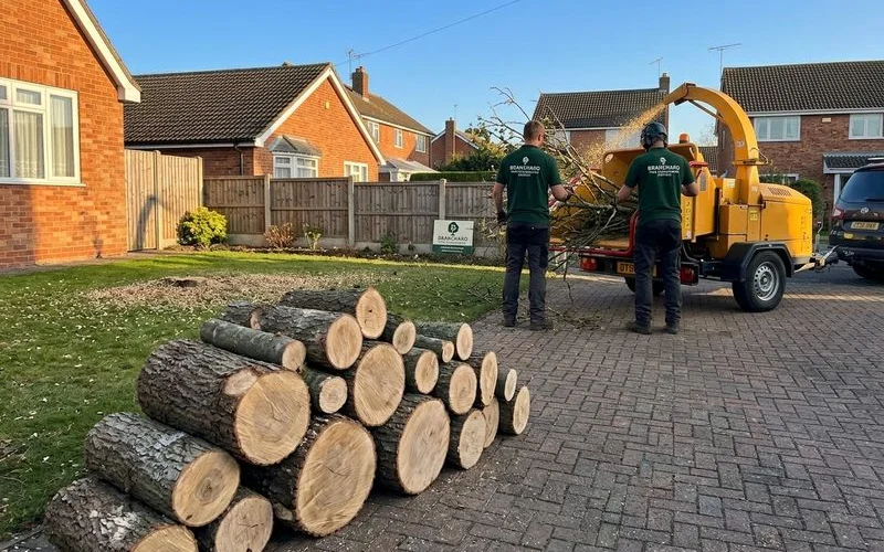 Stack of neatly cut roundwood after a Rugby ash removal with the ground team loading the chipper