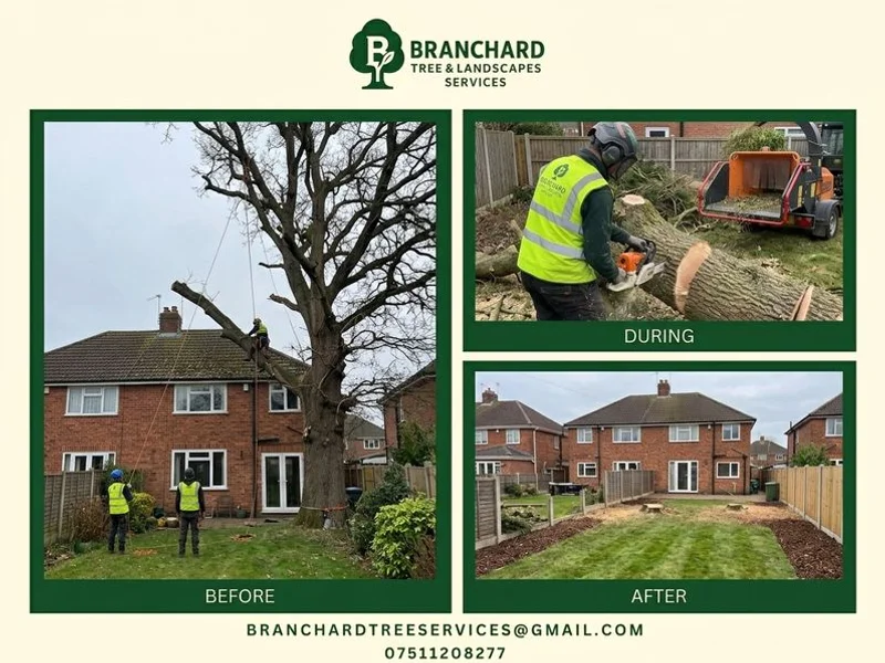 Tree Removal & Felling
