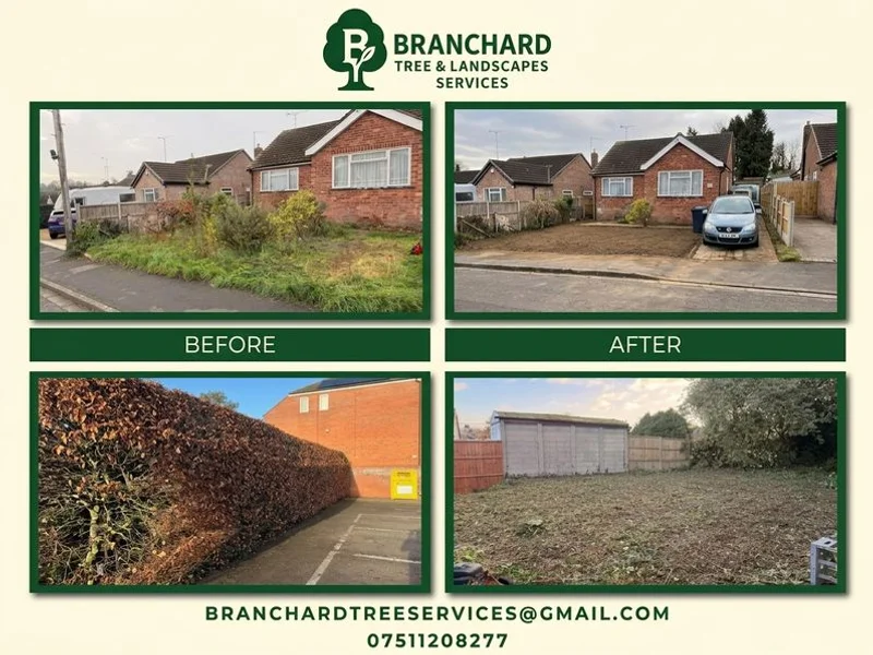 Newly planted native hedge along a Bilton boundary