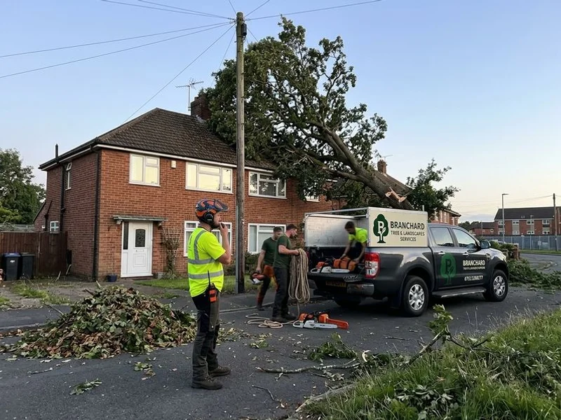 Emergency Tree Services